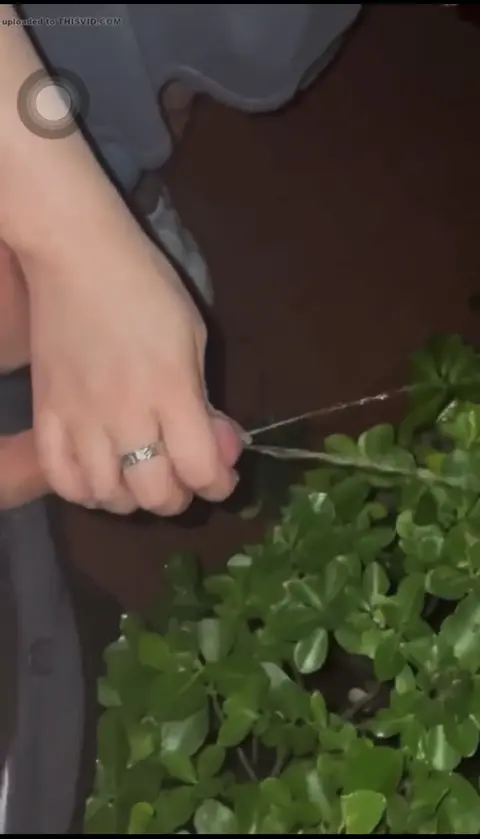 Asian Girl Sucks and Cums with Uncut Cock