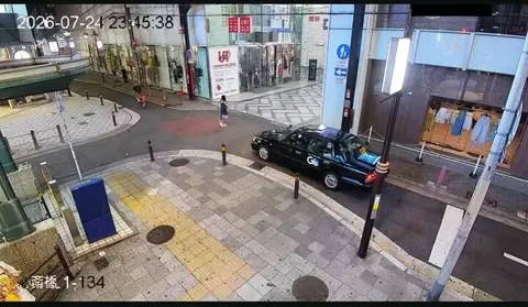 Japanese Teen Smoking and Throwing Trash on the Street